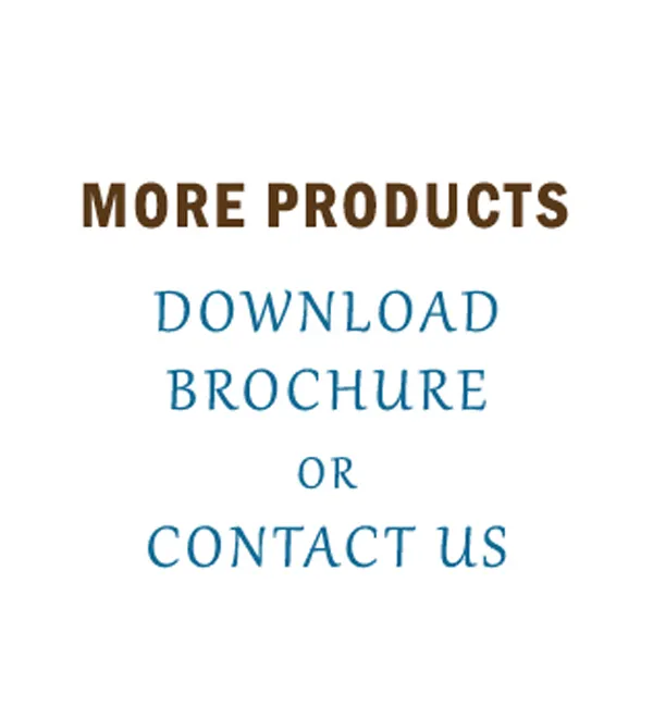 More Products